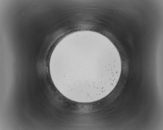 X0000103970676200810311525