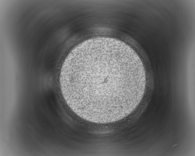 X0000103970677200810311525