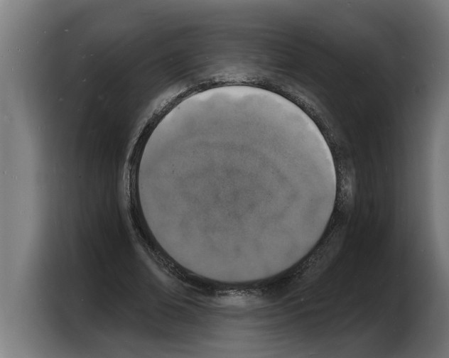 X0000103970678200810311525