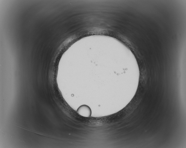 X0000103970679200810311525
