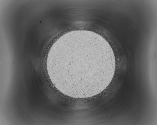 X0000103970684200810311525