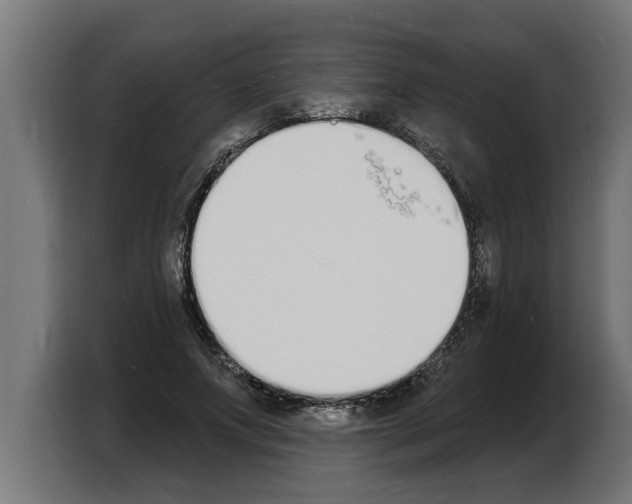 X0000103970687200810311525