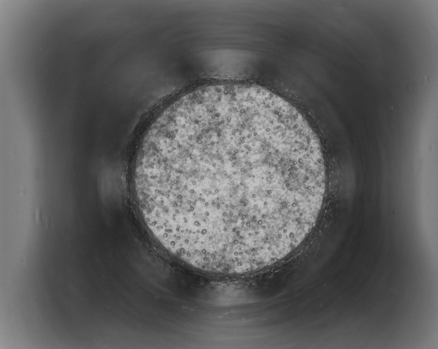X0000103970688200810311525