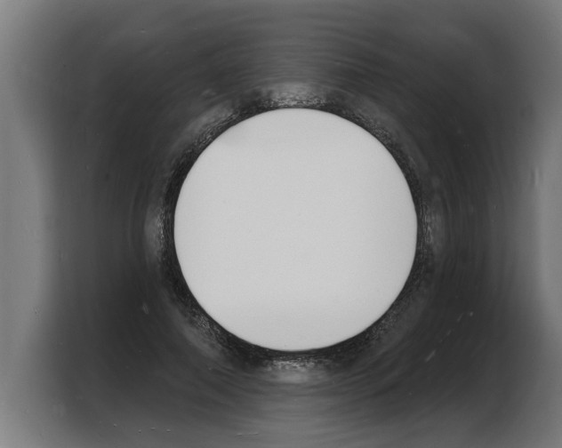 X0000103970690200810311525