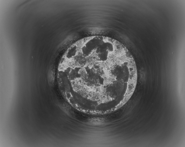X0000103970691200810311525