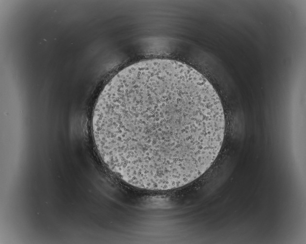 X0000103970692200810311525