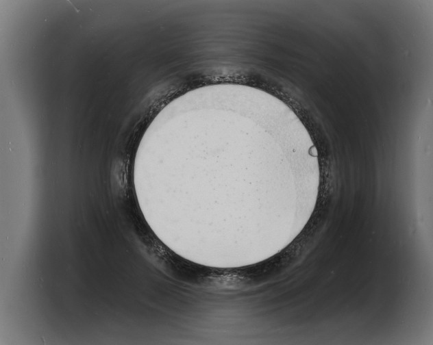 X0000103970695200810311525