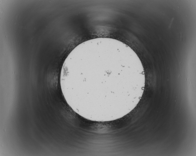 X0000103970697200810311525