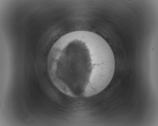 X0000103970701200810311525