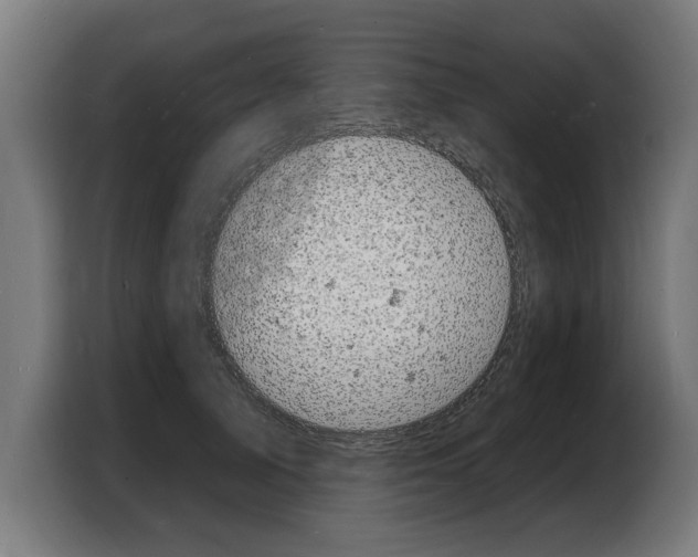 X0000103970705200810311524