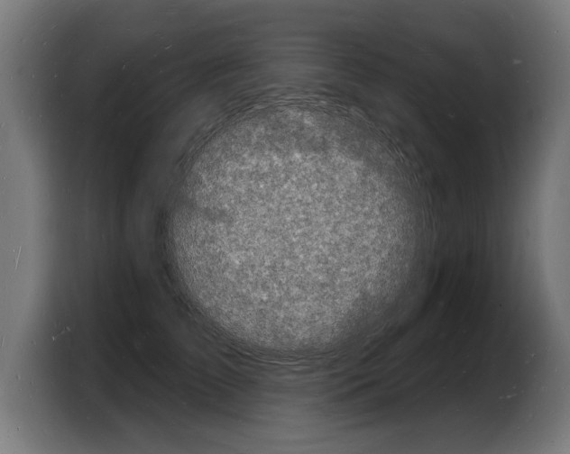 X0000103970709200810311524