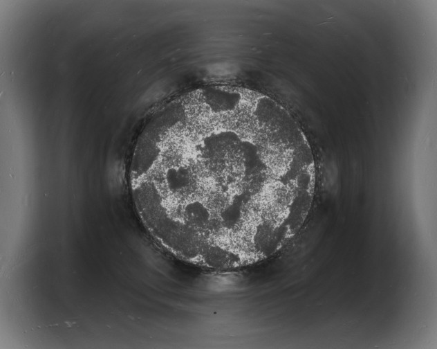 X0000103970711200810311524
