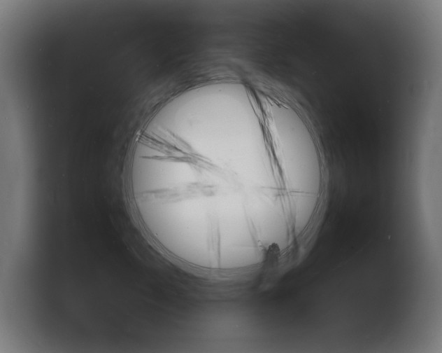 X0000103970717200810311524