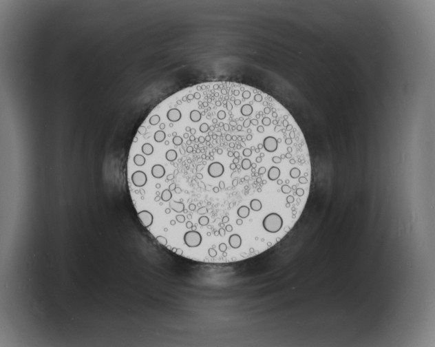 X0000103970719200810311524