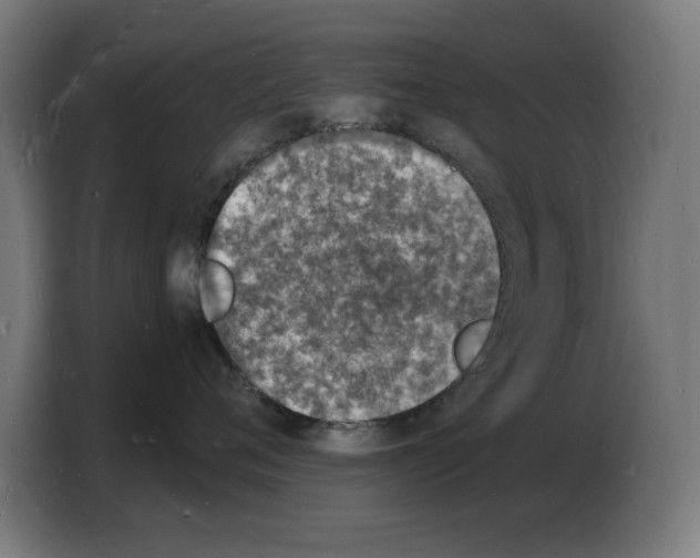 X0000103970720200810311524