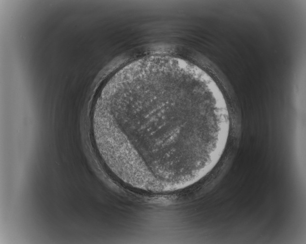 X0000103970721200810311524