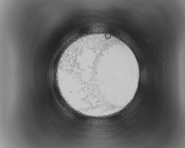 X0000103970722200810311524