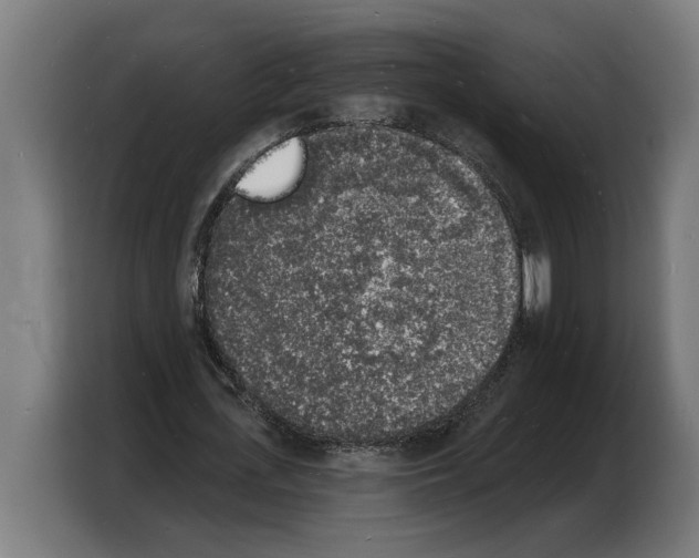 X0000103970723200810311524