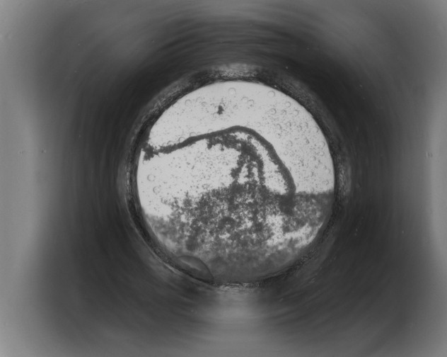 X0000103970725200810311524