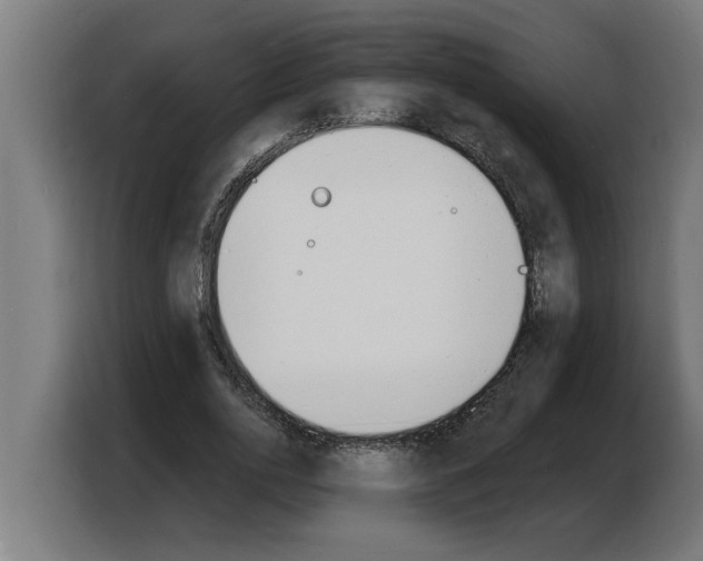 X0000103970726200810311524