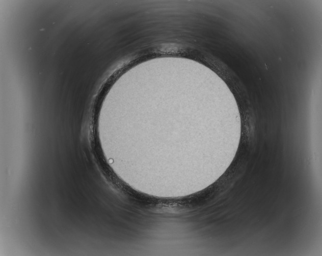 X0000103970728200810311524