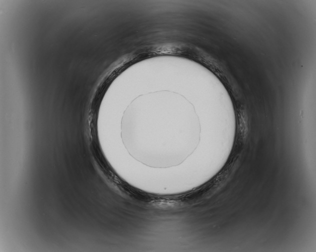 X0000103970730200810311524