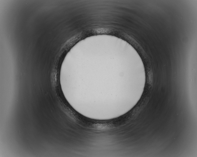 X0000103970733200810311524
