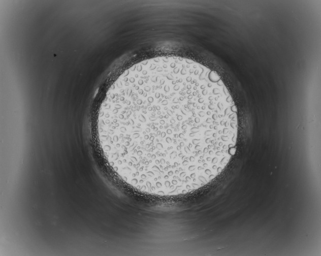 X0000103970734200810311524