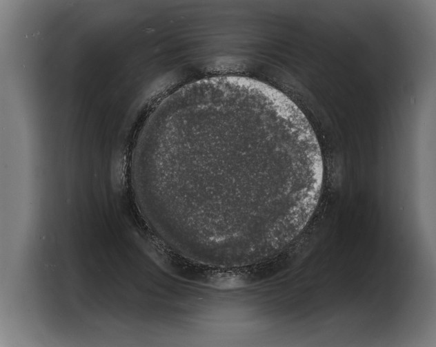 X0000103970735200810311524