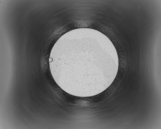 X0000103970743200810311524