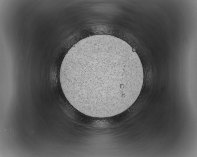 X0000103970749200810311524