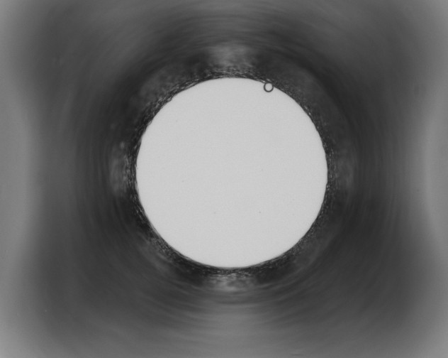 X0000103970752200810311524