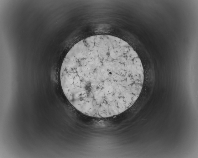 X0000103970755200810311524