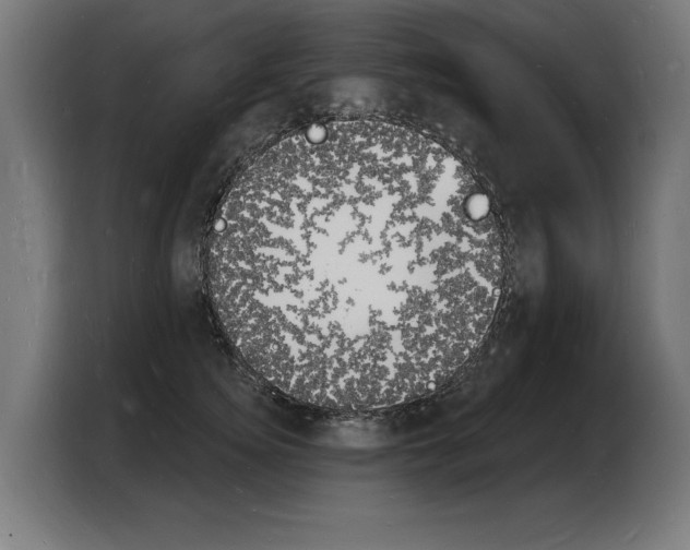 X0000103970756200810311524