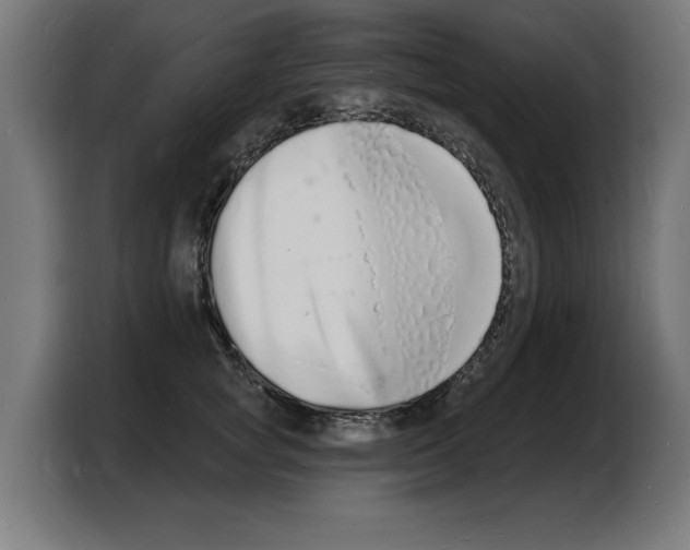 X0000103970757200810311524