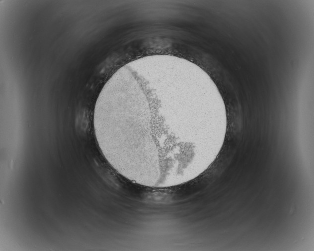 X0000103970758200810311524