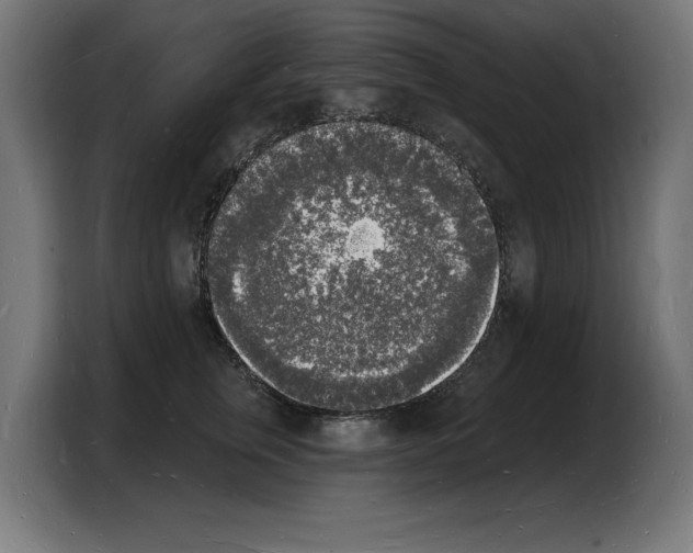 X0000103970759200810311524