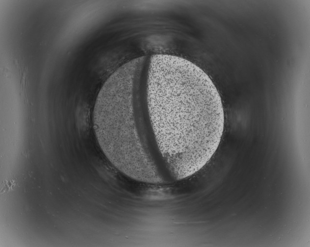 X0000103970760200810311524