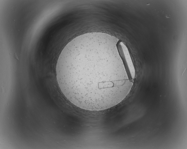 X0000103970762200810311524