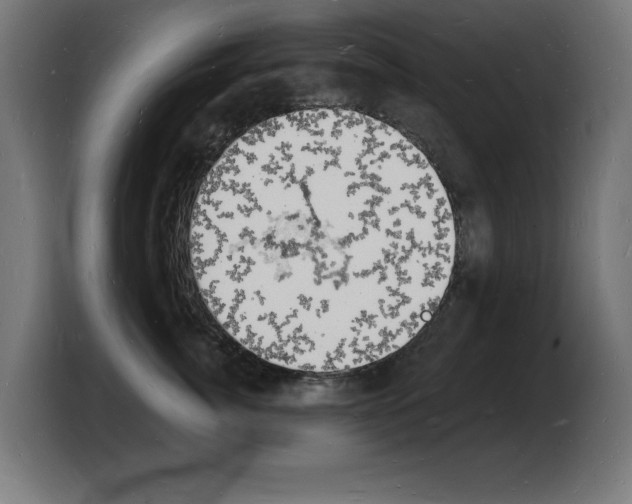 X0000103970764200810311524