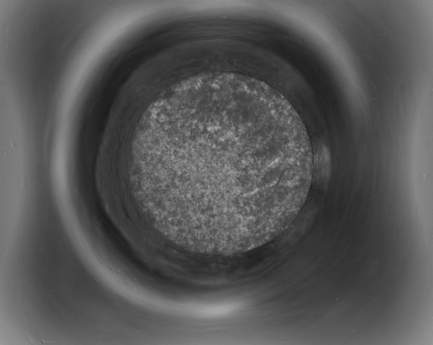 X0000103970765200810311524