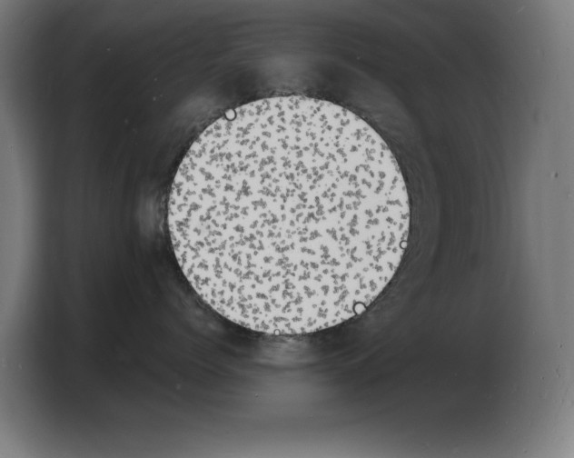 X0000103970768200810311524