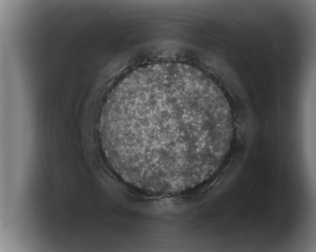 X0000103970769200810311524