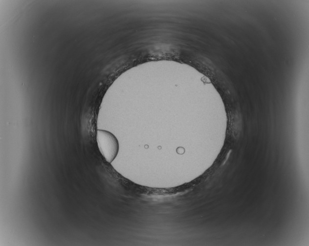 X0000103970770200810311524
