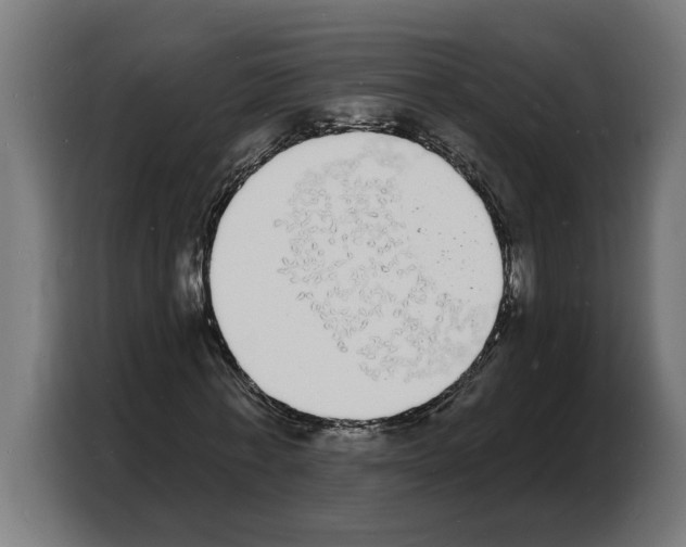 X0000103970771200810311524