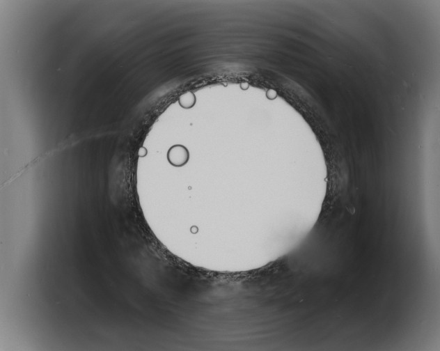X0000103970773200810311524