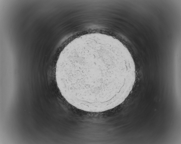 X0000103970775200810311524