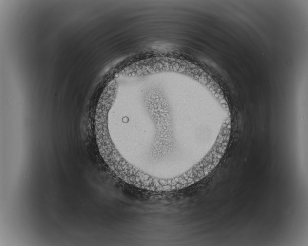 X0000103970776200810311524