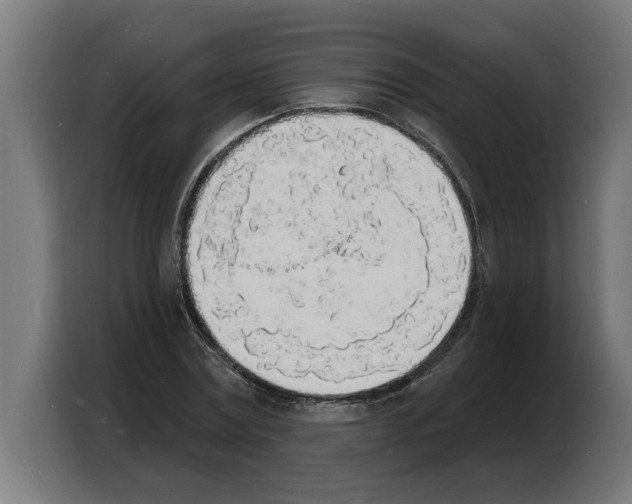 X0000103970779200810311524