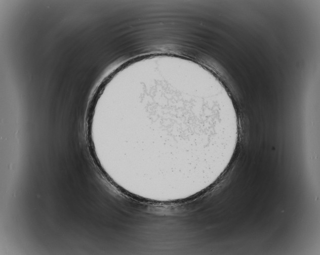 X0000103970780200810311524